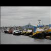 IMG_6685
3/21/2007 2:40:52 PM